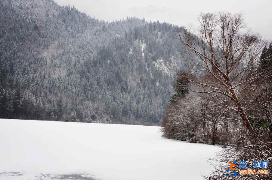 九寨溝雪景什么時間去,九寨溝什么時候下雪？