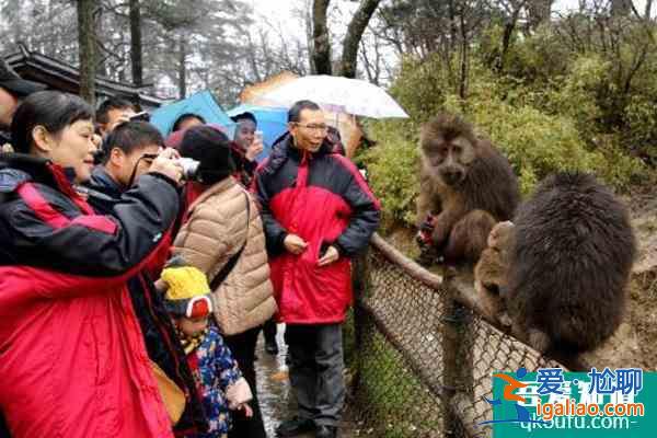 峨眉山冬天封山嗎 峨眉山冬天旅游攻略？