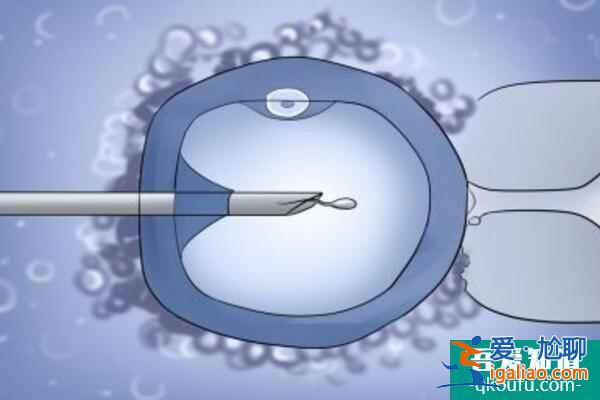 試管嬰兒：從不孕到好孕只需經歷7個步驟？