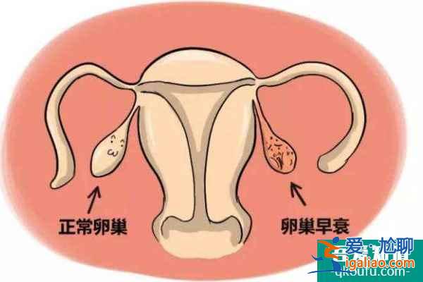 試管嬰兒：與促排卵相關的四個常見疑問？