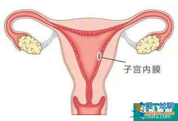 試管專家告訴您：為什么年齡越大，成功率越低？？