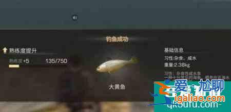 明日之后奇特材料大黃魚的獲得方法？