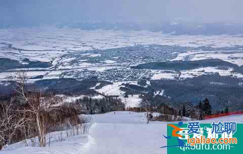 冬季富良野還能這么玩！滑雪玩雪雪橇狗，冰城冰釣熱氣球？