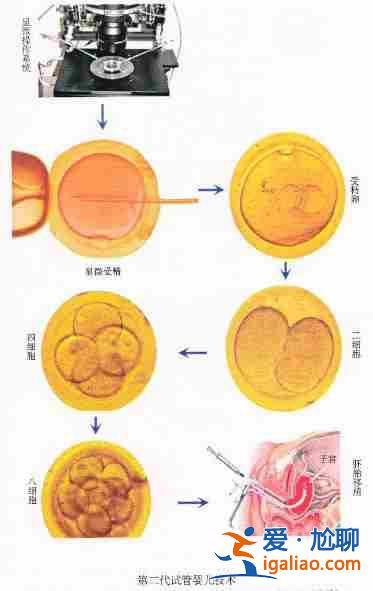 推薦一下廈門助孕機(jī)構(gòu)_你的幸"孕"之門？