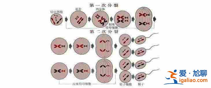 代生孕男孩價格汕頭,生男生女問題？