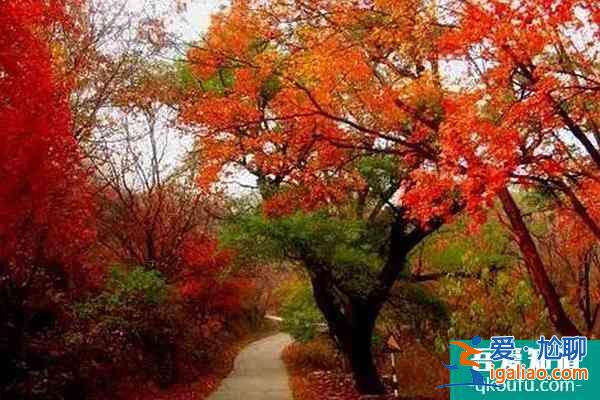 北京香山公園門票多少錢 香山公園如何預約購票？