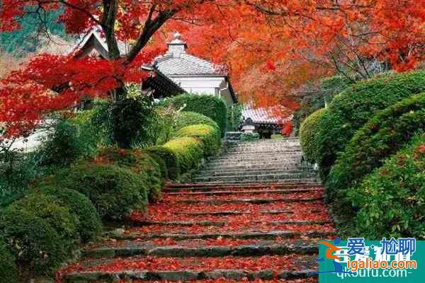 北京香山公園門票多少錢 香山公園如何預約購票？