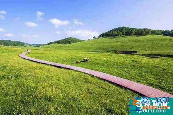 關山草原景區門票信息 關山草原冬季閉園持續時間？