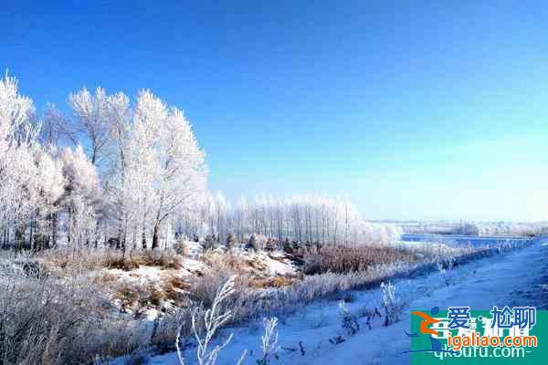 中國看雪最美的地方推薦 國內看雪的旅游勝地？