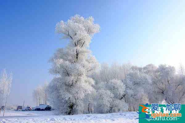 中國看雪最美的地方推薦 國內看雪的旅游勝地？