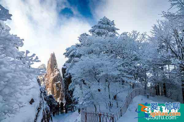 中國看雪最美的地方推薦 國內看雪的旅游勝地？