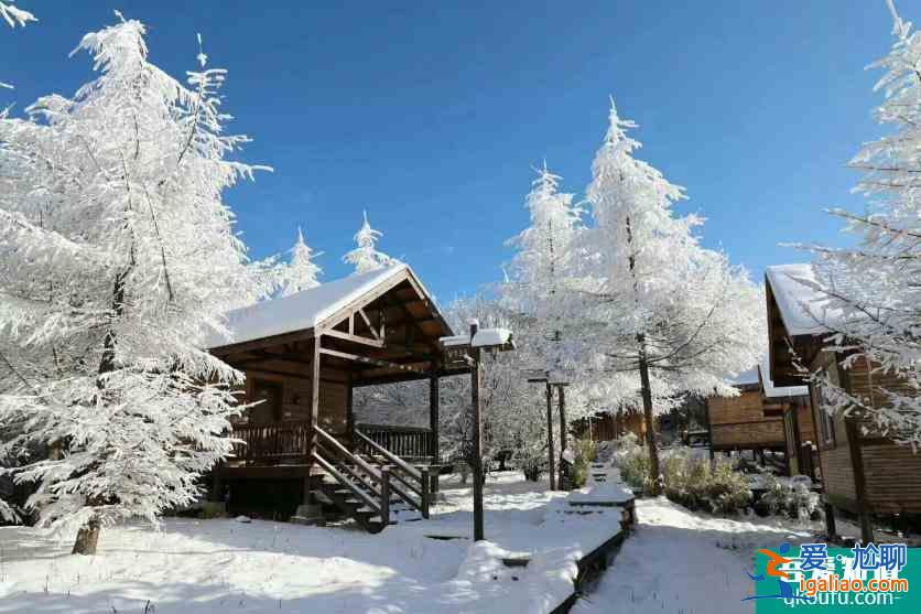 神農架冬日滑雪攻略？