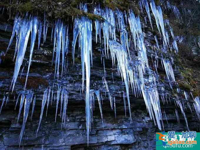 神農架冬日滑雪攻略？