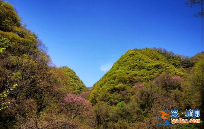 沙塵侵襲多省市 重慶、四川等地幸免 網友感謝秦嶺阻擋南下風沙？