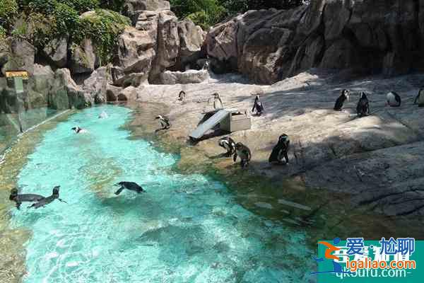 上海動物園團(tuán)游優(yōu)惠政策2022？