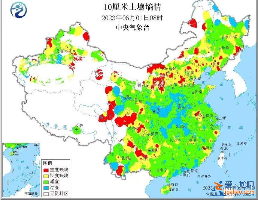 小麥漸熟 “爛場雨”下的三夏怎么“搶”？？