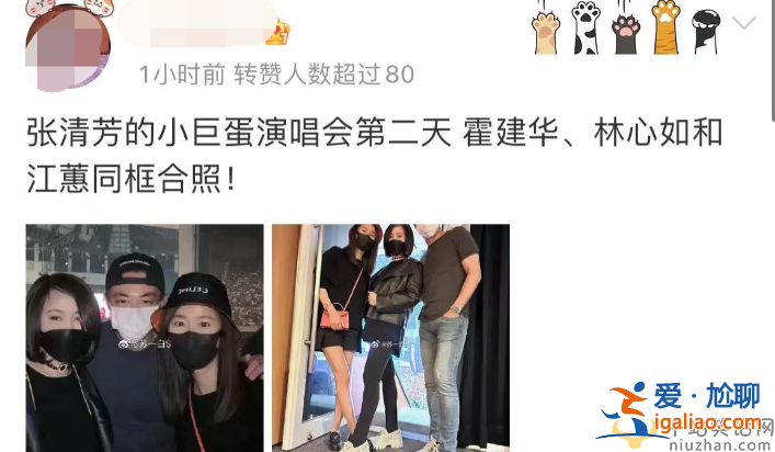 霍建華林心如離婚了嗎?罕見同框會友女方的腿淤青矚目