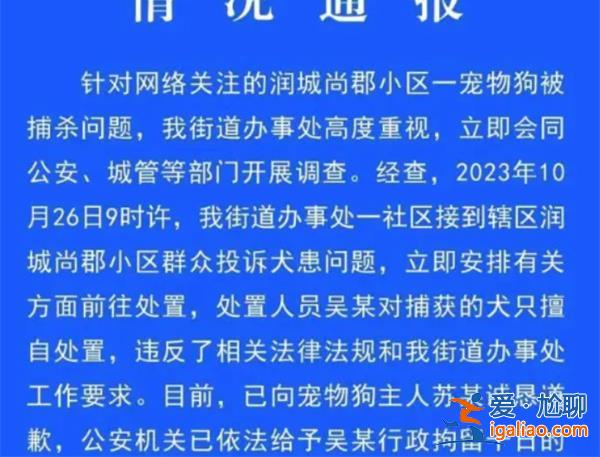 寵物犬被抓走宰殺，處置人員被行拘，以下是抓捕寵物狗[宰殺]？