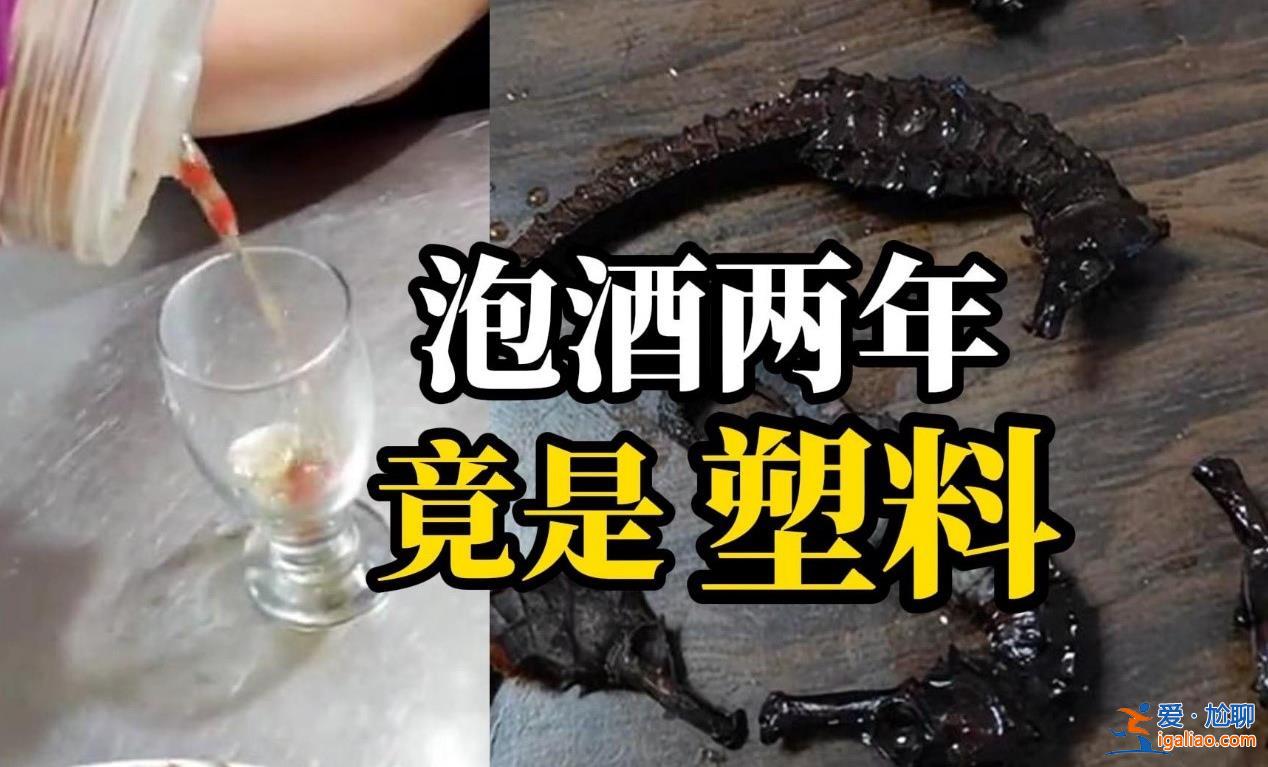 男子發(fā)現(xiàn)泡2年藥酒里的海馬是塑料，要看一點(diǎn)[發(fā)現(xiàn)]？