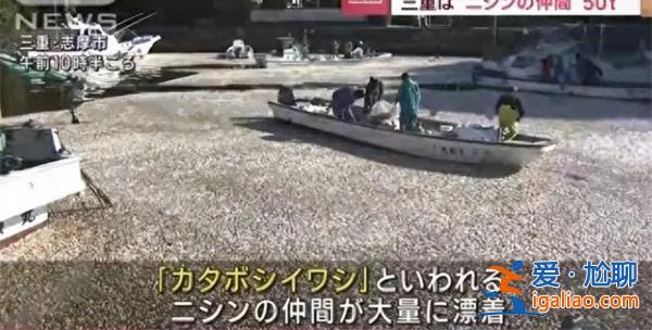 日本大批水鳥死亡[鳥]？