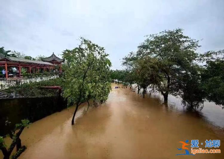 廣東多個水庫提前預泄應對北江1號洪水 有航道臨時停止通航？