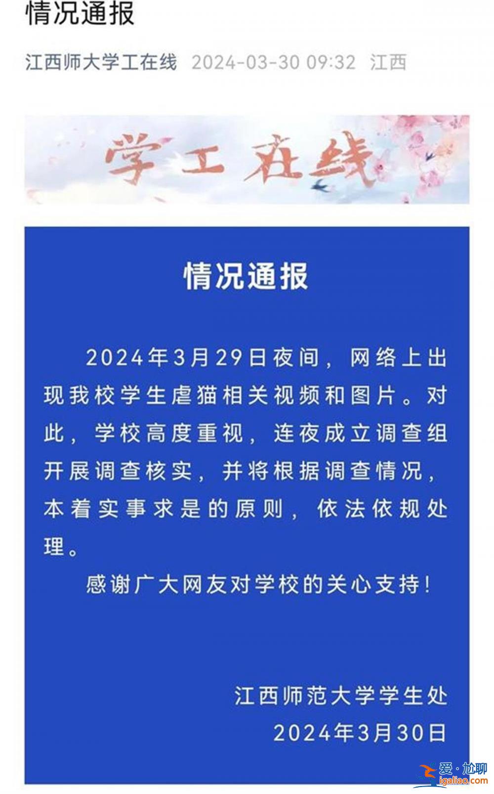 江西師大回應還在處理“學生虐貓” 多起事件背后虐貓產業鏈需鏟除？