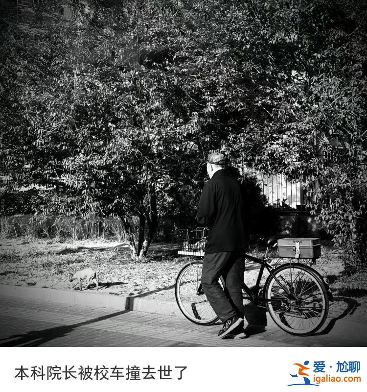 廣西民族大學(xué)文學(xué)院院長在校內(nèi)被撞倒去世？肇事車輛疑似學(xué)校校車？