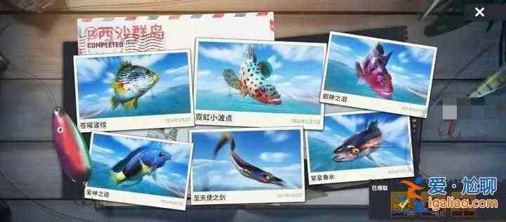 書名：快樂釣魚大師T3新地圖珍奇魚合集魚圖鑒合集？