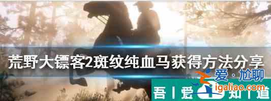 荒野大鏢客2開局怎么獲取純血馬 獲得純血馬方法？