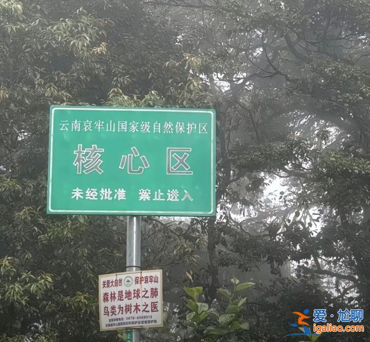 “禁區”變“景區”？云南哀牢山一夜爆火 當地發布安全提示？