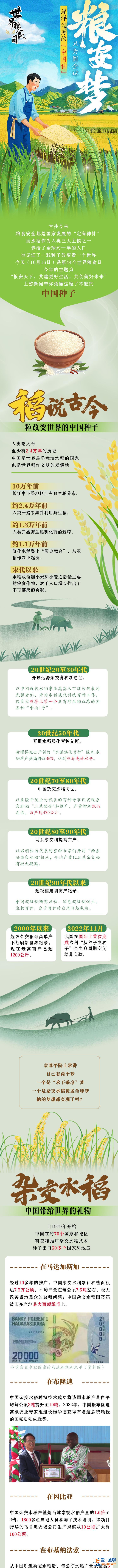 世界糧食日｜漂洋過海的“中國種” 只為圓全球“糧安夢”？