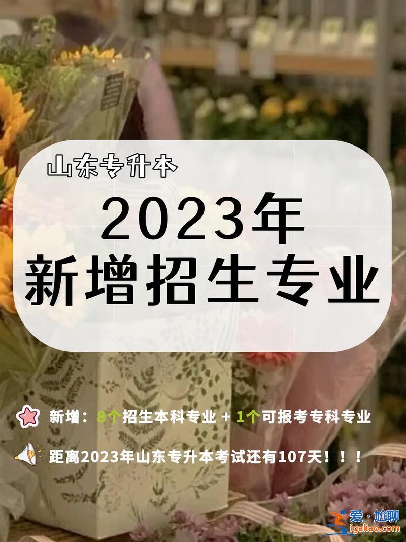 山東專升本240？2023山東專升本考了249能報什么學校？