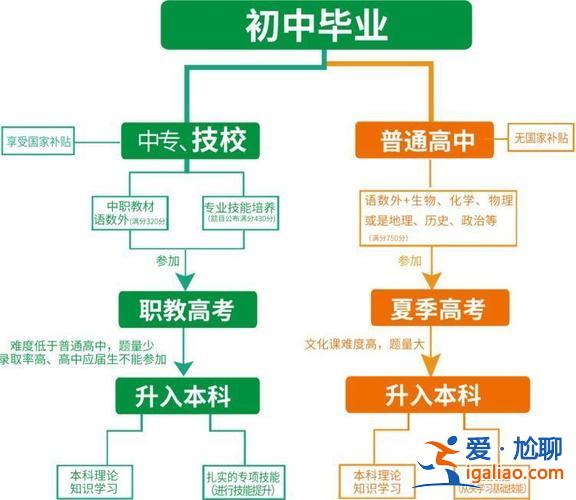 職教的升學方向有哪些專業(職教高考學什么專業)？